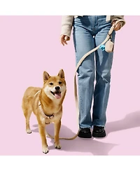Teddy Boucle Adjustable H Harness Leash Walk Set with Poop Bag Pouch