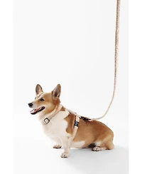 Teddy Boucle Adjustable H Harness Leash Walk Set with Poop Bag Pouch