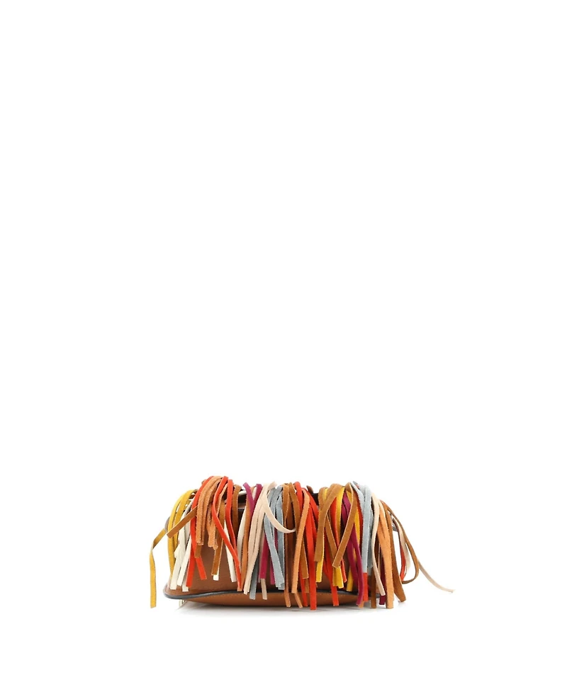 Pre-Owned Chloe Small Multicolor Fringe Hudson Bag Leather