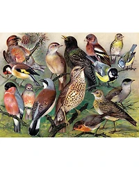 New York Puzzle Company Songbirds 1000 Piece Puzzle