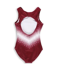 Gk Elite Big Boys and Girls Maroon Minnesota Golden Gophers Replica Leotard