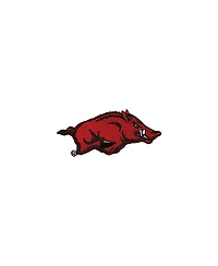 Tervis Arkansas Razorbacks Four-Pack 16oz. Classic Tumbler Set