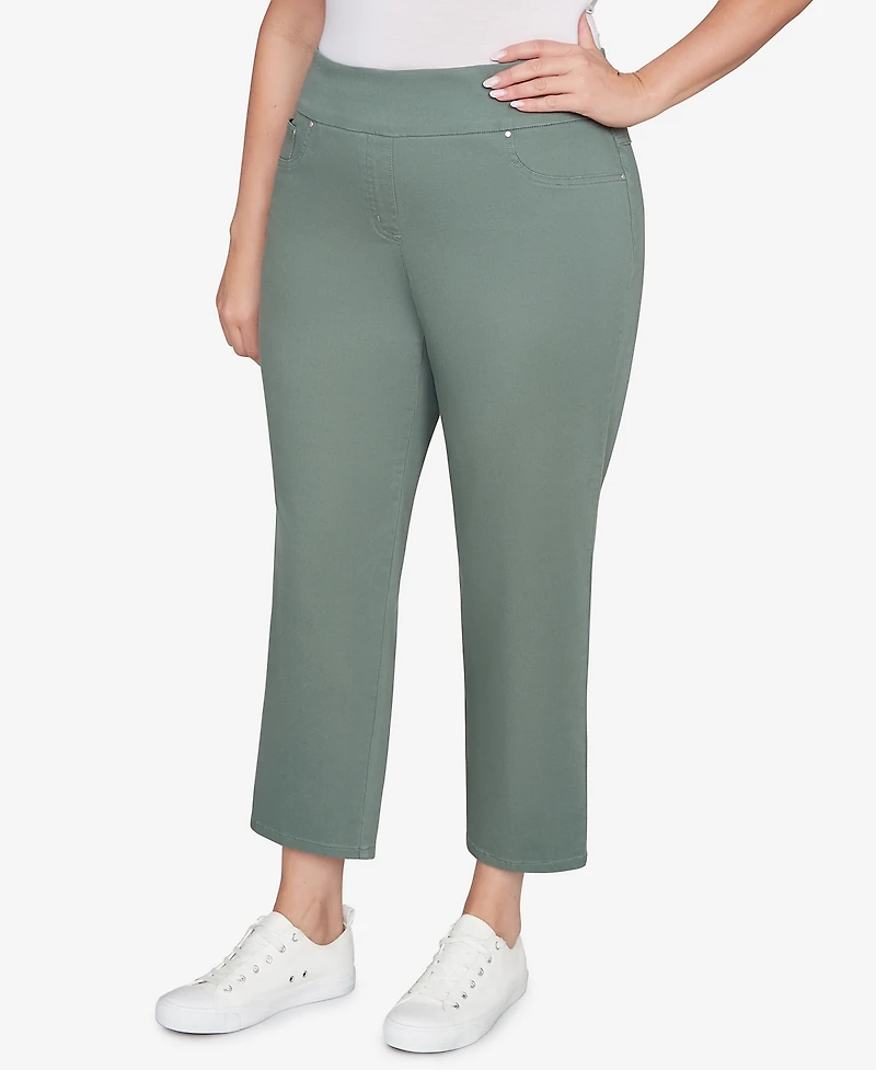 Ruby Rd. Plus Soft Denim Faux Pocket Pants