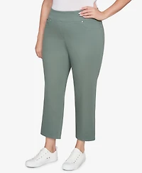 Ruby Rd. Plus Soft Denim Faux Pocket Pants