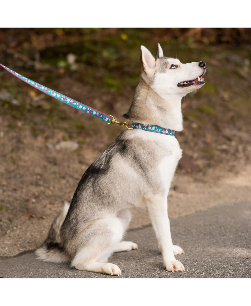 Up Country Cherry Blossoms Dog Lead