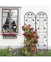 Streamdale Furniture 2 Pack Metal Garden Trellis 86.7" Black
