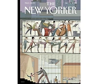 New York Puzzle Company Ready to Soar 1000 Piece Puzzle