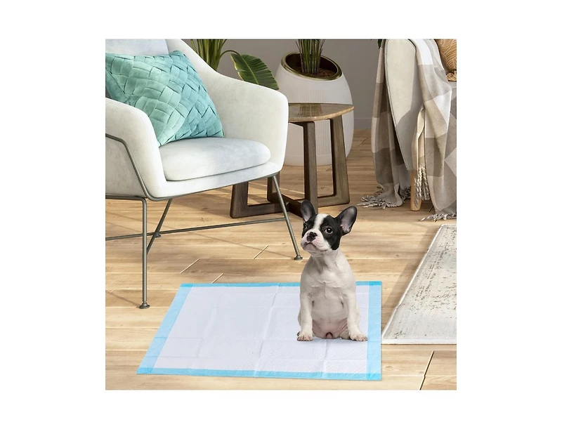 Akiudex 200 pieces 24 x 24 inch pet wee piddle pad