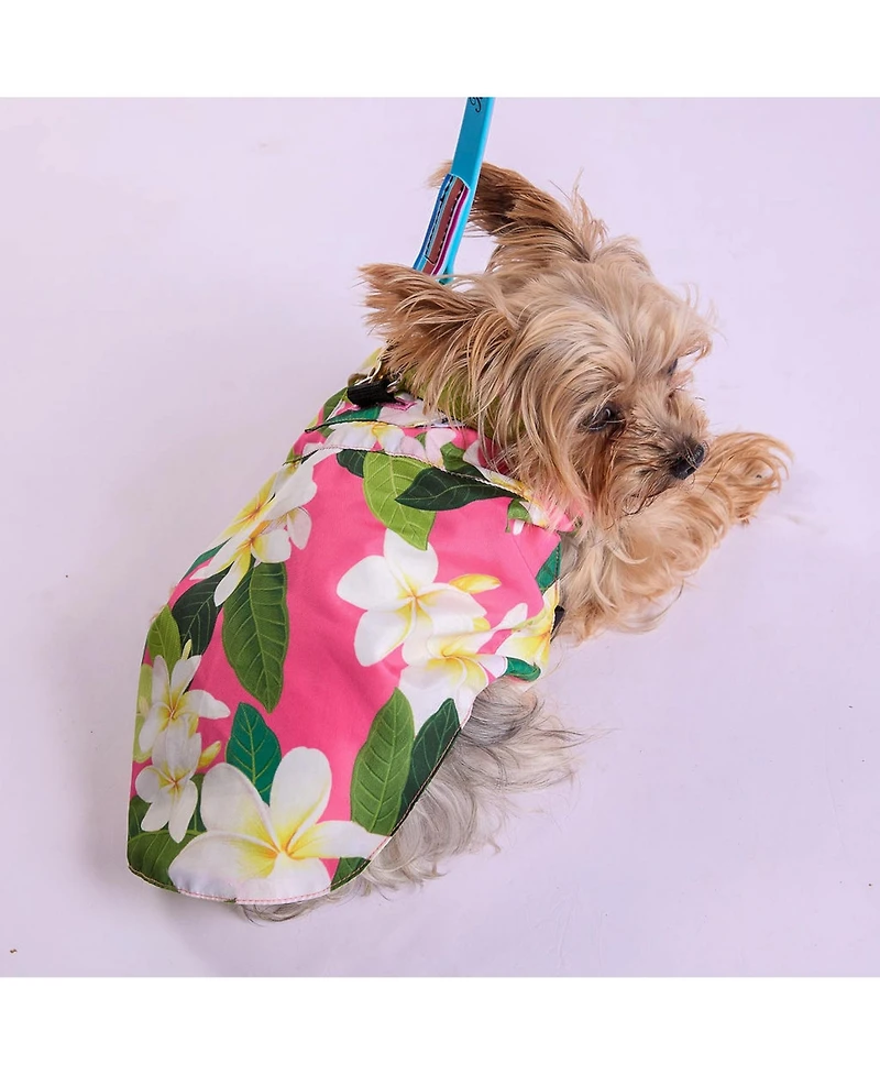 Tommy Bahama Pet Hawaiian Shirt & Apparel Harness