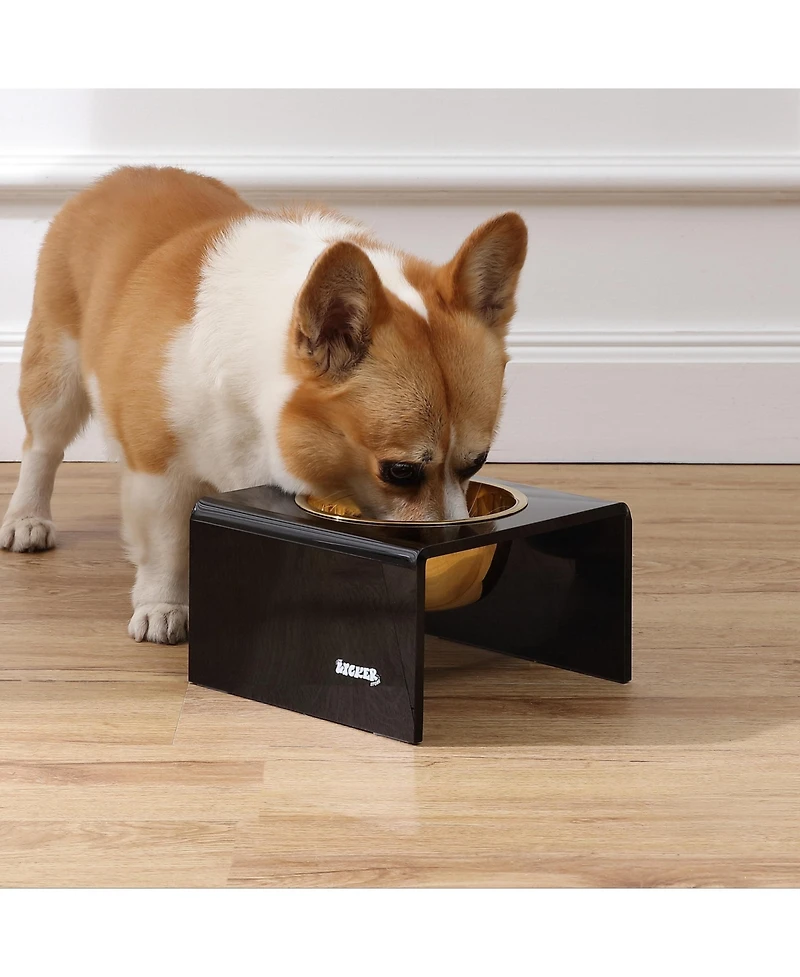 The Licker Store Keaton Modern Acrylic Rectangular Elevated Pet Feeder with 2-Stainless Steel Bowls