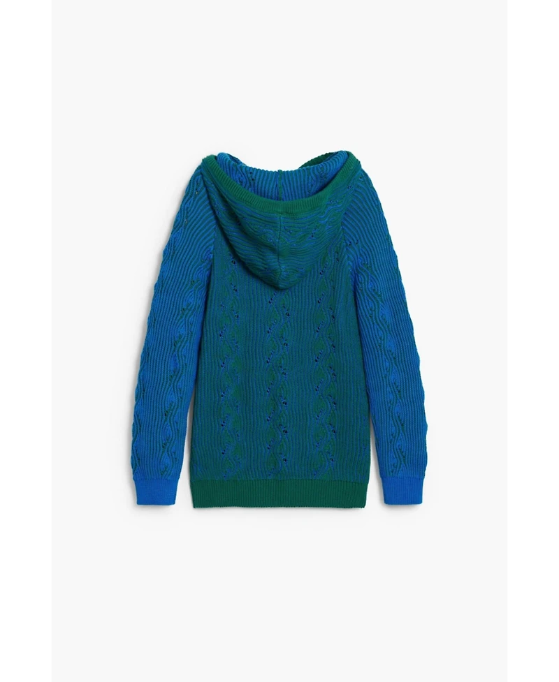Desigual Boys's Blue hooded sweater
