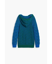 Desigual Boys's Blue hooded sweater