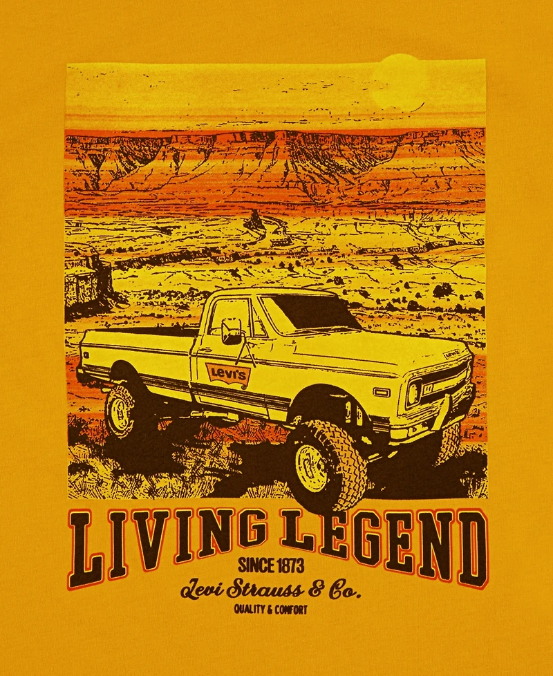 Levi's Big Boys Rig Short Sleeve T-Shirt