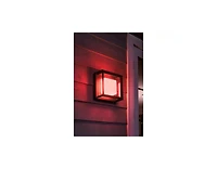Philips Hue White and Color Ambiance Econic Outdoor Wall and Ceiling Light - Black