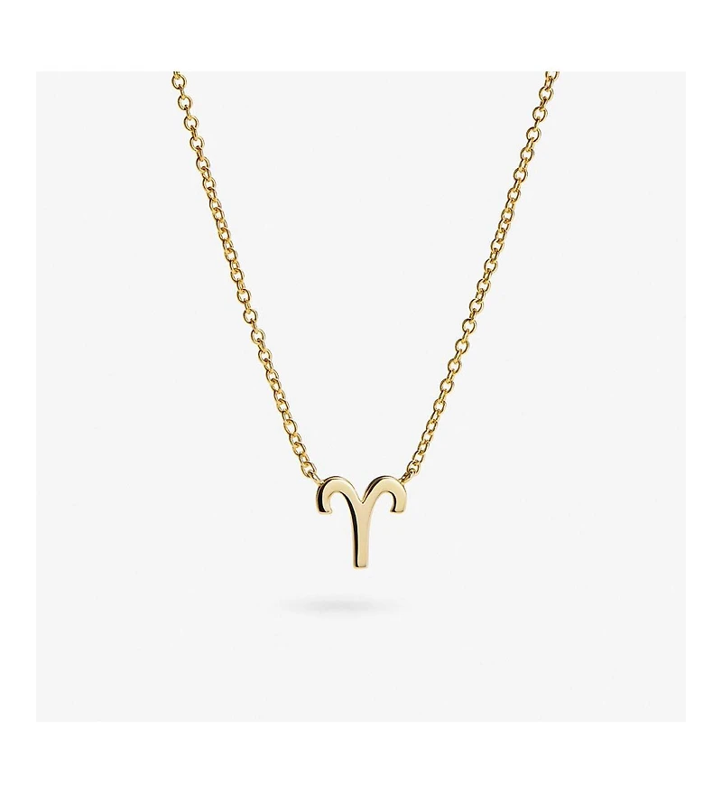 Ana Luisa Zodiac Necklace 