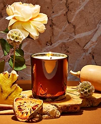 Apotheke Pumpkin Ginger Classic Scented Candle, 10.5 oz.