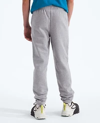 The North Face Big Boys Teen Evolution Pants
