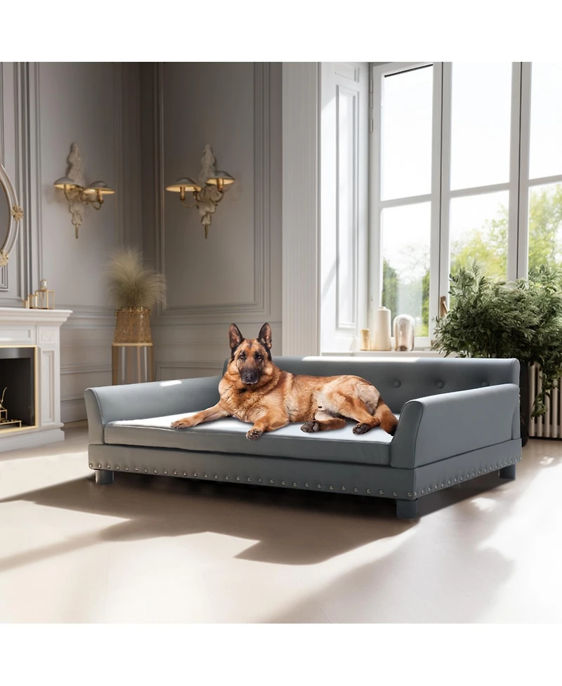 Bingopaw Xl Spacious Pet Bed Dog Cat Sofa Couch Cushion Puppy Lounge Anti Scratch/Wear