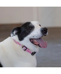 Up Country Howdy Pink Dog Collar