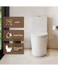 Casainc Dual Flush 1.1/1.6 Gpf Elongated One-Piece One-Piece Bathroom Fixture, Comfort Height, Water-Saving Design, Map 1000g
