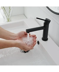 Greenspring Single Hole Single-Handle Bathroom Faucet in Matte Black
