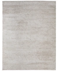 Feizy Jameson 39R8F 9'0"x12'0" Area Rug