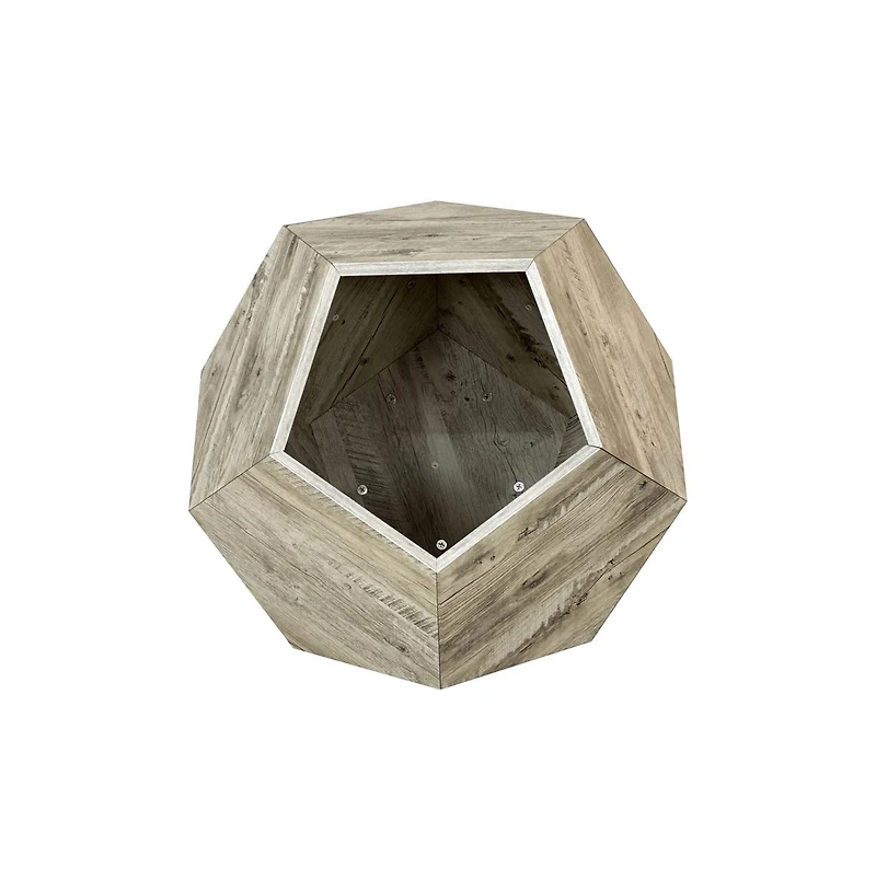 Zeus & Ruta 25.98" Pet Carrier Side Table Planter in Colored Oak