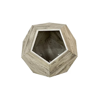 Zeus & Ruta 25.98" Pet Carrier Side Table Planter in Colored Oak