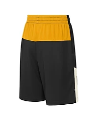 Outerstuff Big Boys and Girls Black Pittsburgh Steelers Fandemonium Mesh Shorts