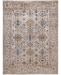 Adorn Hand Woven Rugs Serapi M0103- 9'x11'11" Area Rug