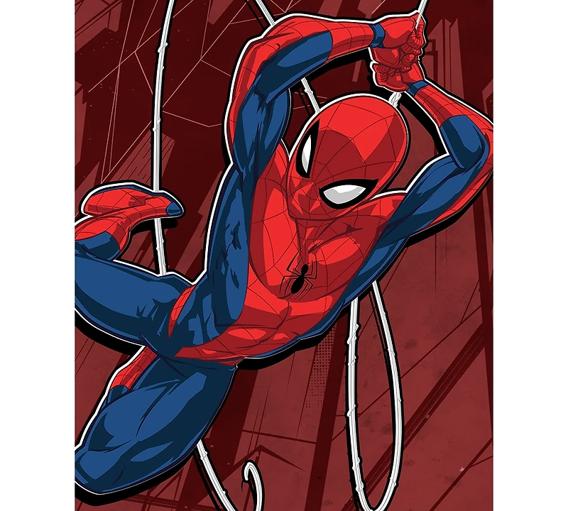 Spider-Man Big Boys Spider Swing Short Sleeve T-Shirt