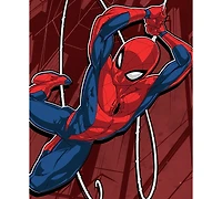 Spider-Man Big Boys Spider Swing Short Sleeve T-Shirt