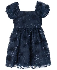Rare Editions Toddler and Little Girls 3D Floral Embroidery Social Dress