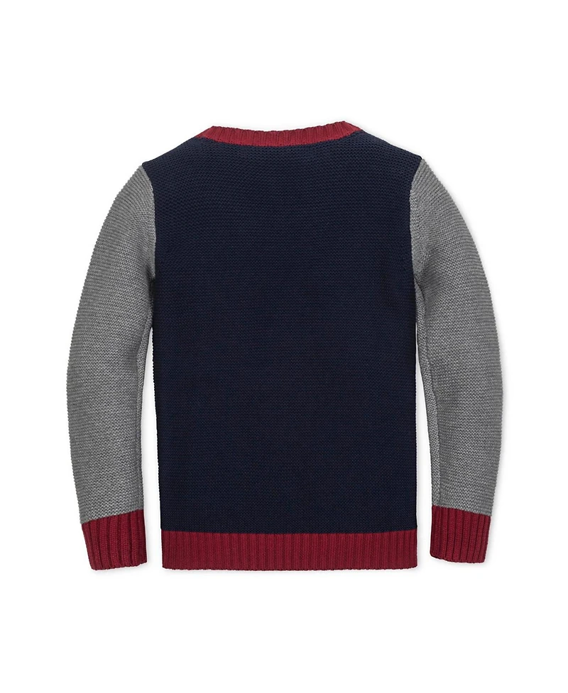 Hope & Henry Little and Big Boys' Organic Long Sleeve Crewneck Pullover Sweater