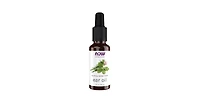 Now Foods Ear Oil ,1 Oz
