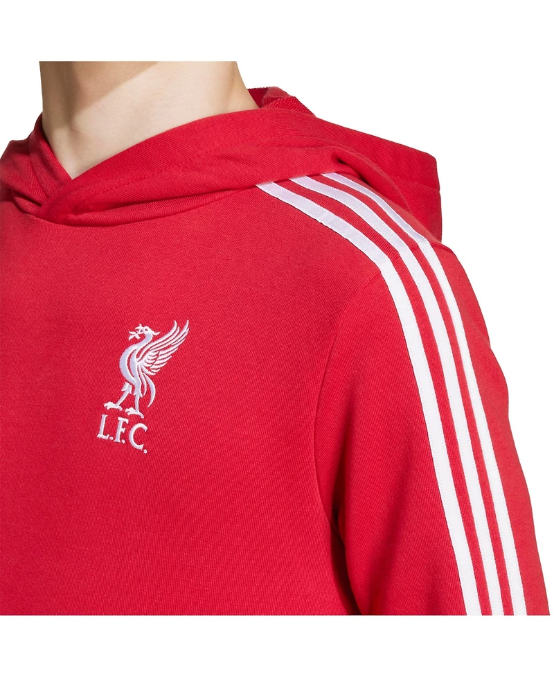 Adidas Big Boys and Girls Red Liverpool Dna Hoodie