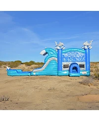 JumpOrange Dolphins Commercial Grade Bounce House Water Slide with Dual Lane and Detachable Pool for Kids and Adults (with Blower), Tunnel Entrance, B