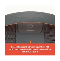 RadioShack 50W Gray and Orange Wireless Bluetooth Portable Speaker With Type C Charging Cable 4001784