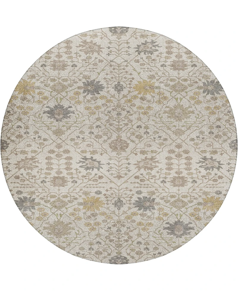 Dalyn Tabrook Washable TB12 8'x8' Round Area Rug