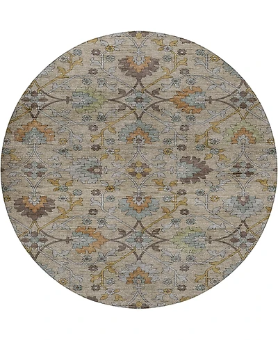 Dalyn Silk Road SR1 8'x8' Round Area Rug