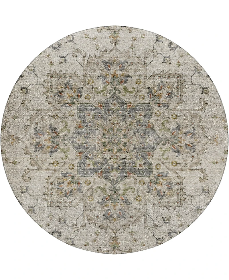 Dalyn Silk Road Washable SR6 8'x8' Round Area Rug