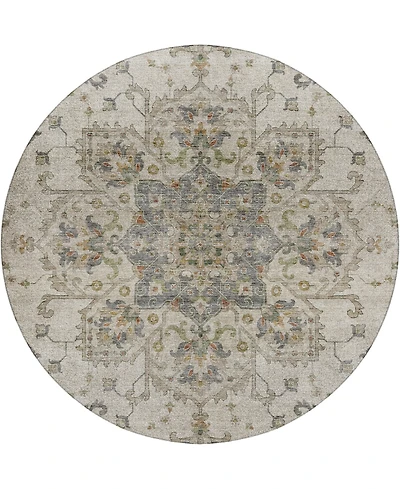 Dalyn Silk Road Washable SR6 8'x8' Round Area Rug