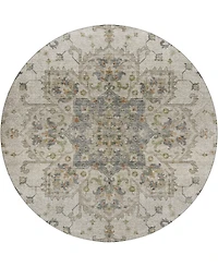 Dalyn Silk Road Washable SR6 8'x8' Round Area Rug