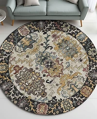 Dalyn Silk Road Washable SR5 8'x8' Round Area Rug