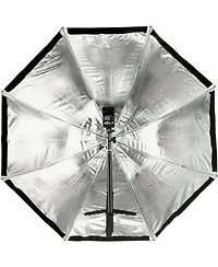 Westcott 2336 43" with Free 40 Deg Grid