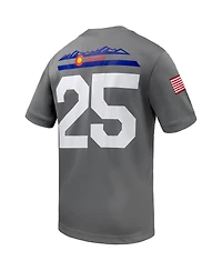 Nike Men's 25 Gray Air Force Falcons Apls Fighting Falcon Collection Football Game Jersey