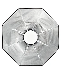 Profoto Ocf 24" Beauty Dish with Deflector Plate, Silver