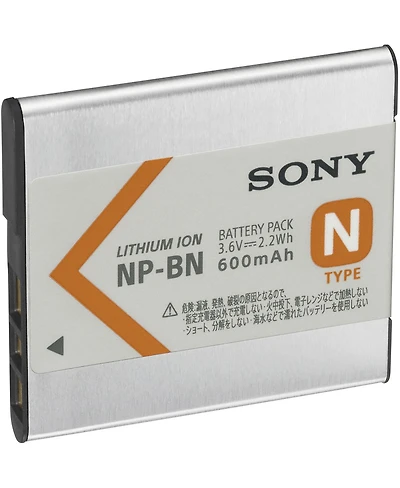 Sony Rechargeable Batt Pk