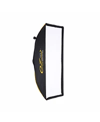 Westcott 2x FJ200 200Ws Strobe with Dc Battery