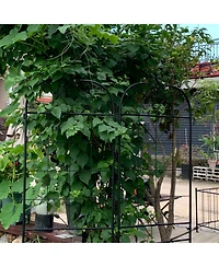 Streamdale Furniture Metal Garden Trellis 2-Pack for Climbing Plants